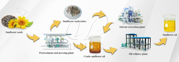 processus de production d'huile de tournesol